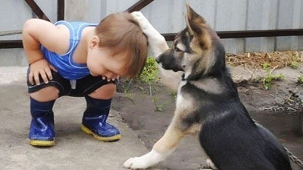 칭찬 강아지  개  아기  머리 쓰담  잘했어요  칭찬