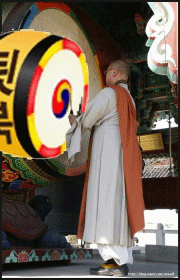 스님이 직접 뒷북이라고 알림 뒷북 중복