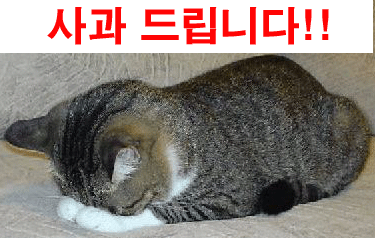 사과 미안 미안합니다 죄송합니다 사과 드립니다.