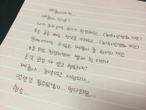 박멸  벌레  베충이에게 편지 베츙아 안녕