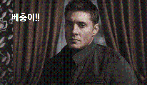 박멸  해충 벌레 주먹으로 때리는 움짤 주먹 남자 한방