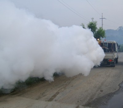 소독차 약치는 모습 벌레  퇴치 농약 박멸