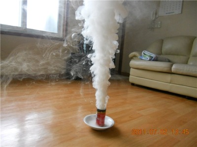 연기 소독 집안에 벌레 퇴치 약뿌리는 죽어라 해충 박멸