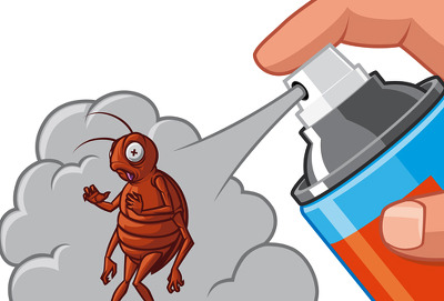 해충 잡는 장면 뿌려서 잡는 장면 에프킬라 뿌려라