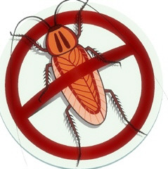 바퀴벌레 벌레 해충 박멸