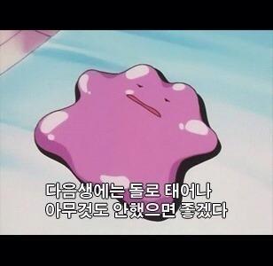 다음생에는 돌로 태어나 아무것도 안했으면 좋겠다 황당 멘붕 좌절