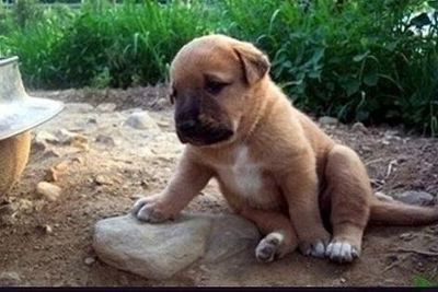 한손으로 돌 집고 좌절 중 