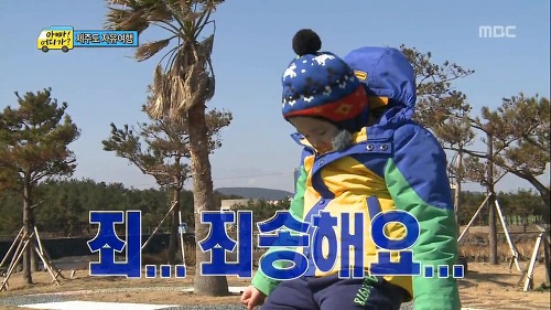 죄송 죄송해요 사과 죄송합니다 아빠 어디가 잘못했어요