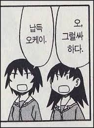 납득 오케이 그럴싸 하다 OK 납득이가 이해 그럴싸한데 그럴싸 한데