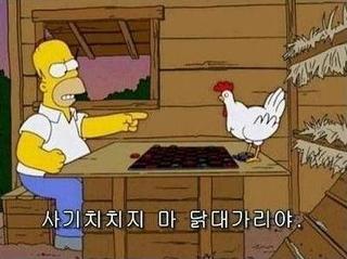 사기치지마 닭대가리야 닭대가리 사기 심슨 닭 닭머리