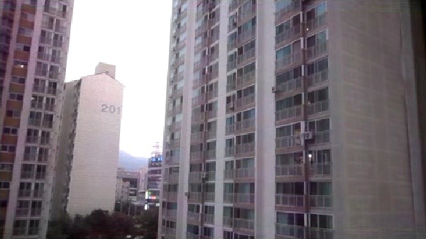 밈 필수요소 개소리 개짖는 소리 좀 안나게 하라 레전드 음성지원