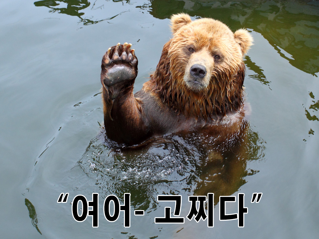 일단와봐 여어 고찌다 곰 불곰 드루와