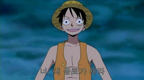 너 내 동료가 돼라 원피스 만화 루피 해적왕 동료 모험