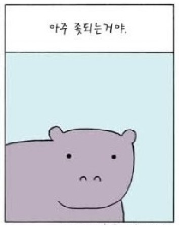 작은 하마 이야기
