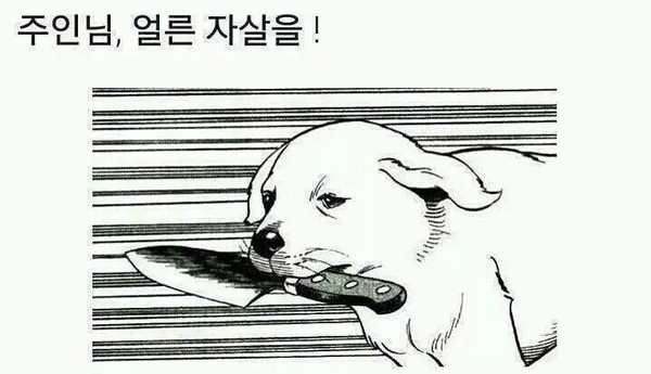 주인님 얼른 자실을 자실 칼 강아지 황당 한심 죽어라