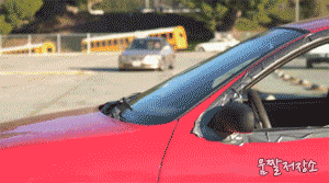 헤이 야타 스포츠카 강아지 고양이 동물 꼬시기 여자 