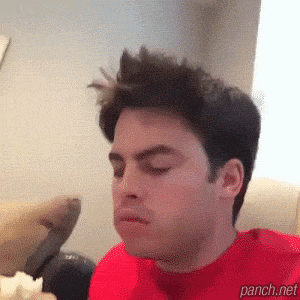 혼자먹냐? 강아지 표정 주인 째려보는 시베리안 허슥키 허숙희 눈빛