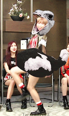 정연 합성 타조 웃긴 움짤 트와이스 걸그룹