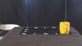 교육 강아지 개똑똑 훈련 극한직업 주인 청소 