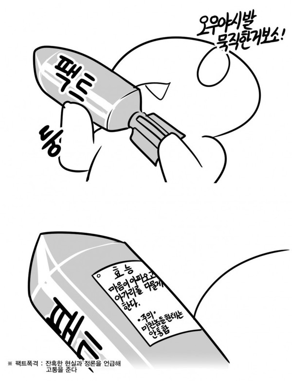 팩트 폭격 팩트폭격 효능 폭탄 잔혹한 현실과 정론을 언급해 고통을 준다 사실 진실