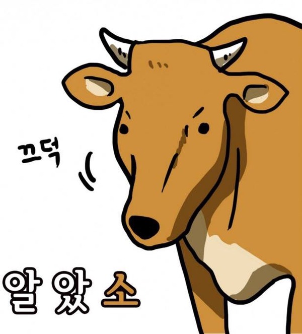 알았소 아재 개그 병맛