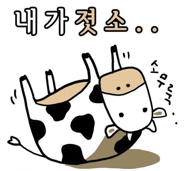 내가졋소 젖소 아재 개그 병맛 소무룩
