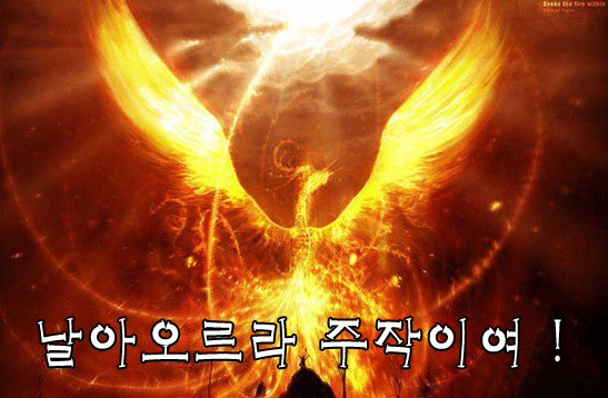 날아오르라 주작이여