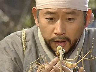 전광렬짤 산삼보고 기뻐하는 전광렬 허준 기쁨 약초