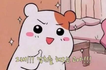 그래 납치를 해오는 거야 에비츄 햄토리