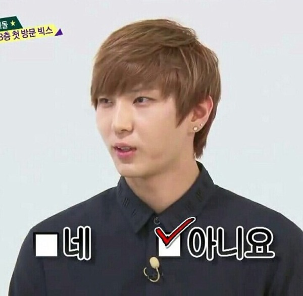 네 아니요 선택 사용 짤