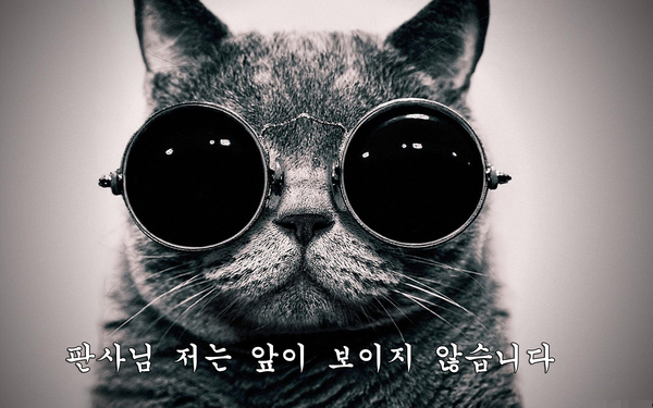 판사님 저는 앞이 보이지 않습니다