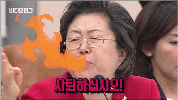 사퇴하십시오 니가해라 사퇴 새누리당 이은재 국회의원