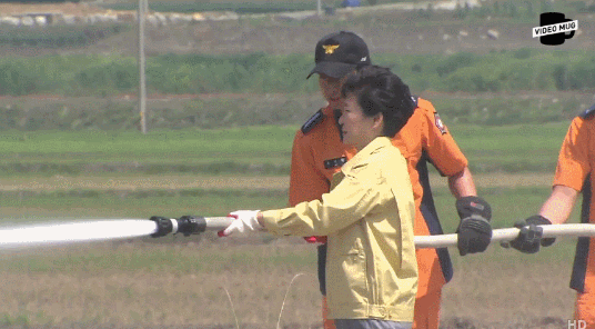 물대포 고문관 박근혜 삽질 물뿌리는 소방호수 망치는 엉망 개판