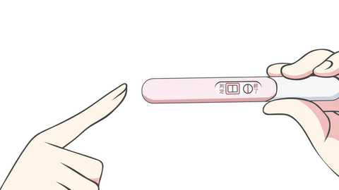 만능짤 임신공격 테스트기 임신