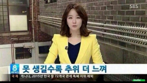 못 생길수록 추위 더 느껴 뉴스 아나운서 합성 
