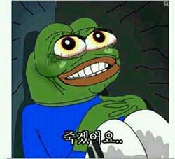 김혜수 패러디 개구리 죽겠어요 멘붕 황당