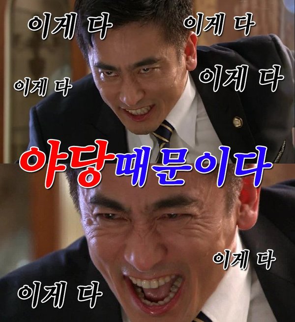 차이니표 분노짤 분노 표정 짤방 야당때문이다 이게 다 야당 때문이다 정치 새누리 자유당 바른 패러디