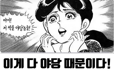 어머 저 썩을 야당놈들 야당때문이다 이게 다 야당 때문이다 정치 새누리 자유당 바른정당 쓰레기 패러디