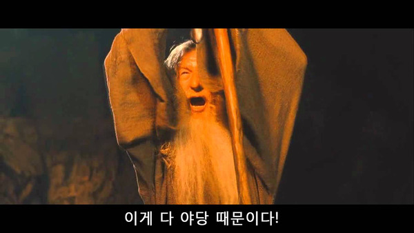 간달프 마법사 반지의 제왕 야당때문이다 이게 다 야당 때문이다 정치 새누리 자유당 바른정당 쓰레기 패러디