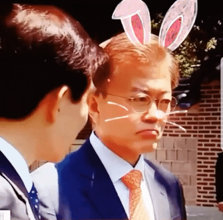 문재인 대통령 토기 귀여운 합성 이니 귀염 터지는 끄덕끄덕 짤