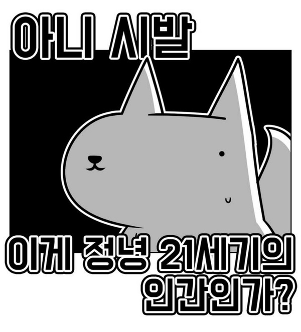 진돌 황당 시발 이게 정녕 21세기의 인간인가