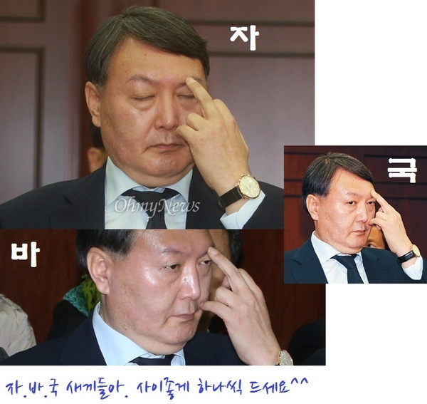 자바국 윤석열 법규