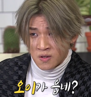 대성 빅뱅 오이가 읍네 어이가 없네 패러디