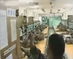 웃음벨 군대 움짤 웃는 미친 황당 웃긴 미친짓 삽질 군인 웃어