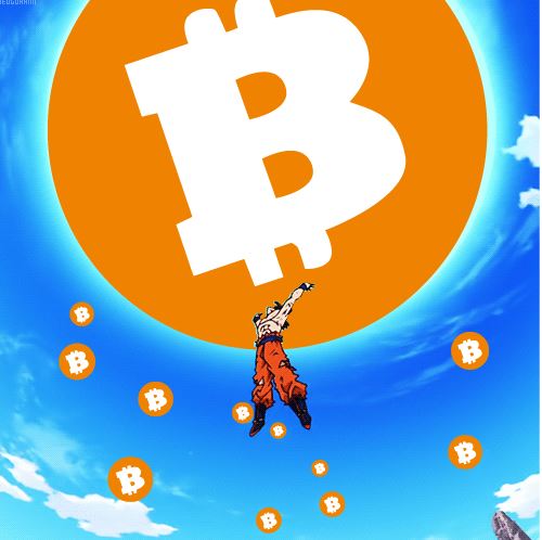 비트코인 가즈아 코인 손오공 소원 열풍 주식 돈 가상화폐