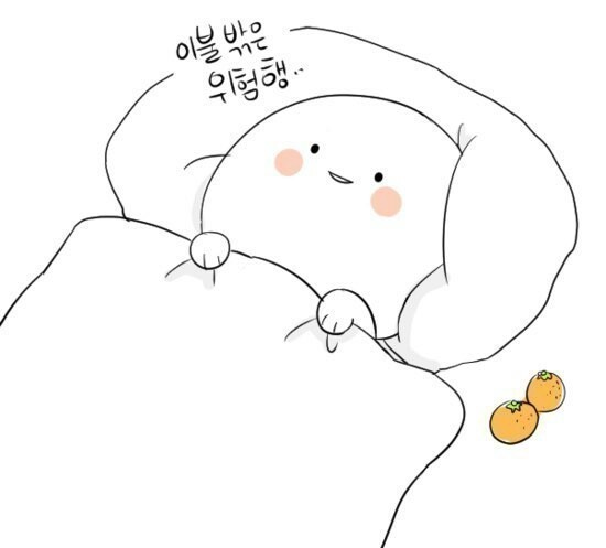 이불밖은 위험해 위험 이불 혼자 솔로 좋아 어장관리 정신승리