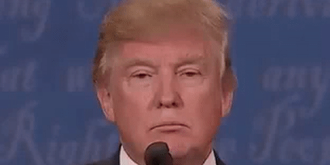 트럼프 미국 대통령 움짤 표정 히죽 웃다 실실 움짤