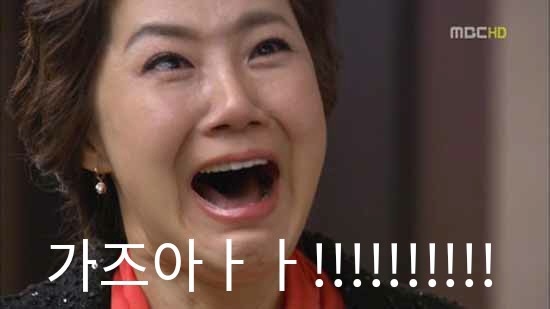 가즈아 절규 비트코인 주갤러 주식 투자 망함 정모 가자