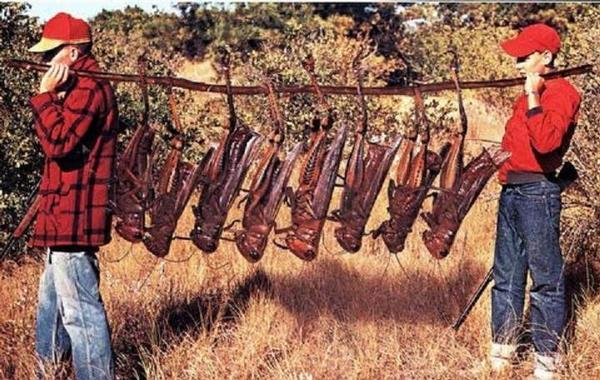 메뚜기 사냥 대형 큰 사이즈 곤충