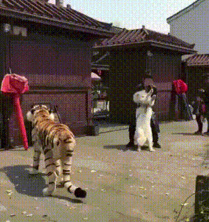 호랑이 강아지 식겁 무서워 무서운 도망 개깜놀 바둥바둥 도망쳐